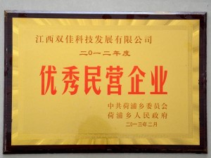 2012年度優秀民營企業